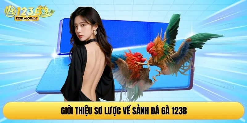 Giới thiệu sơ lược về sảnh đá gà 123B